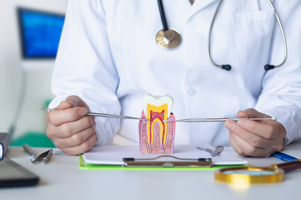 Best Root Canal Emergency Dentist  in Pquemine, LA